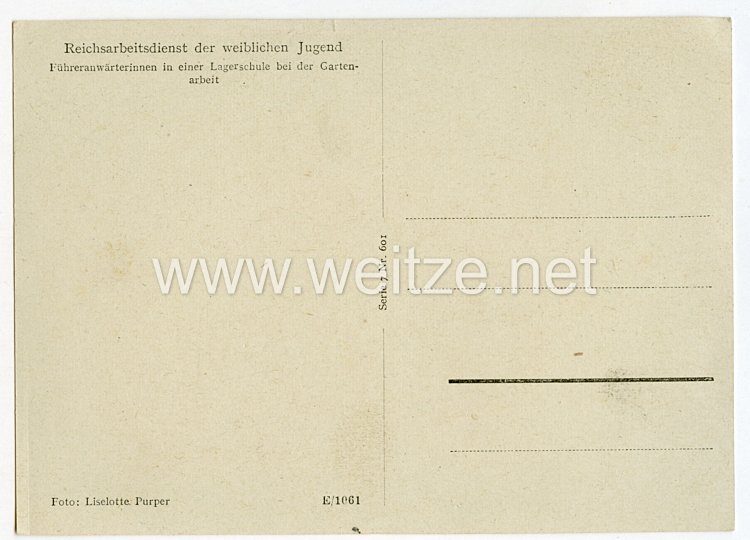 Reichsarbeitsdienst ( RAD ) - Propaganda-Postkarte " Reichsarbeitsdienst für die weibliche Jugend " Bild 2