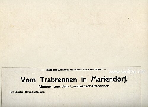 1.Weltkrieg Pressefoto "Trabrennen in Mariendorf" Bild 2